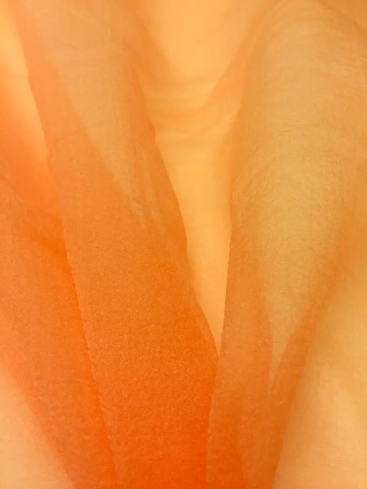 dalya-organze-oranj-03.jpg dalya organze oranj