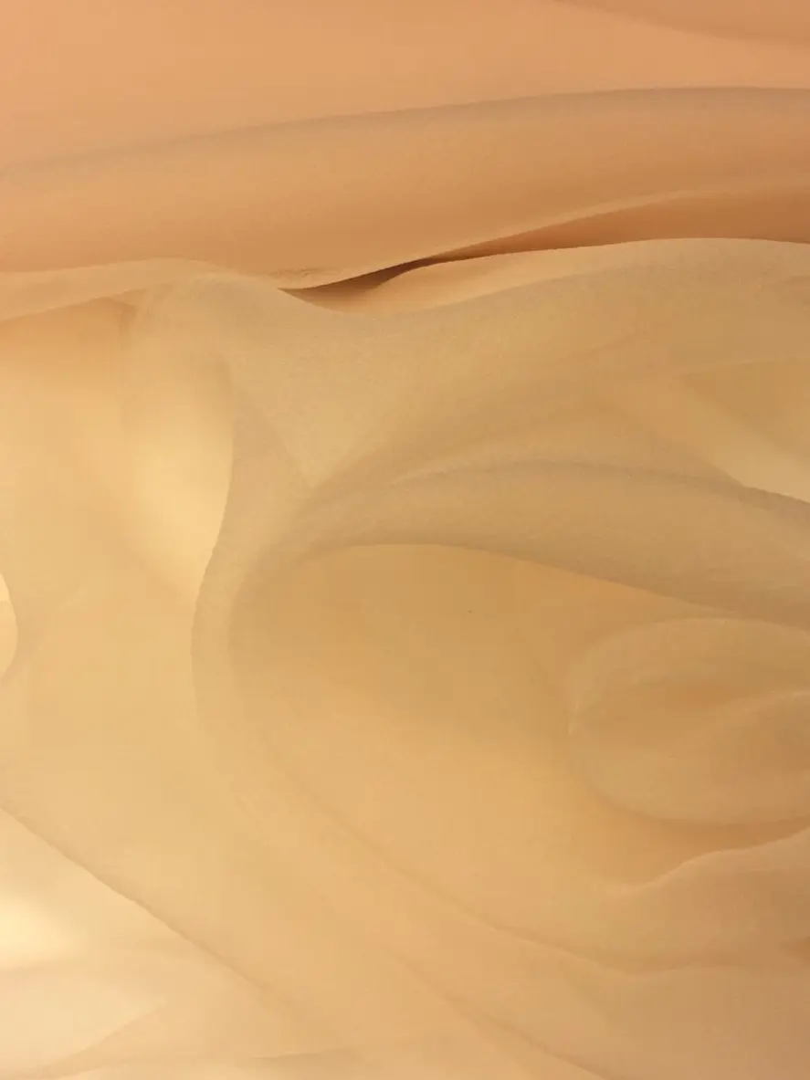 dalya-organze-somon-02.jpeg dalya organze somon