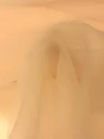 dalya-organze-somon.jpeg dalya organze somon