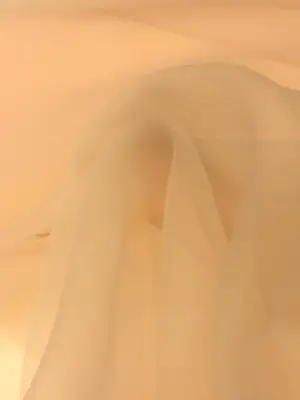 dalya-organze-somon.jpeg dalya organze somon