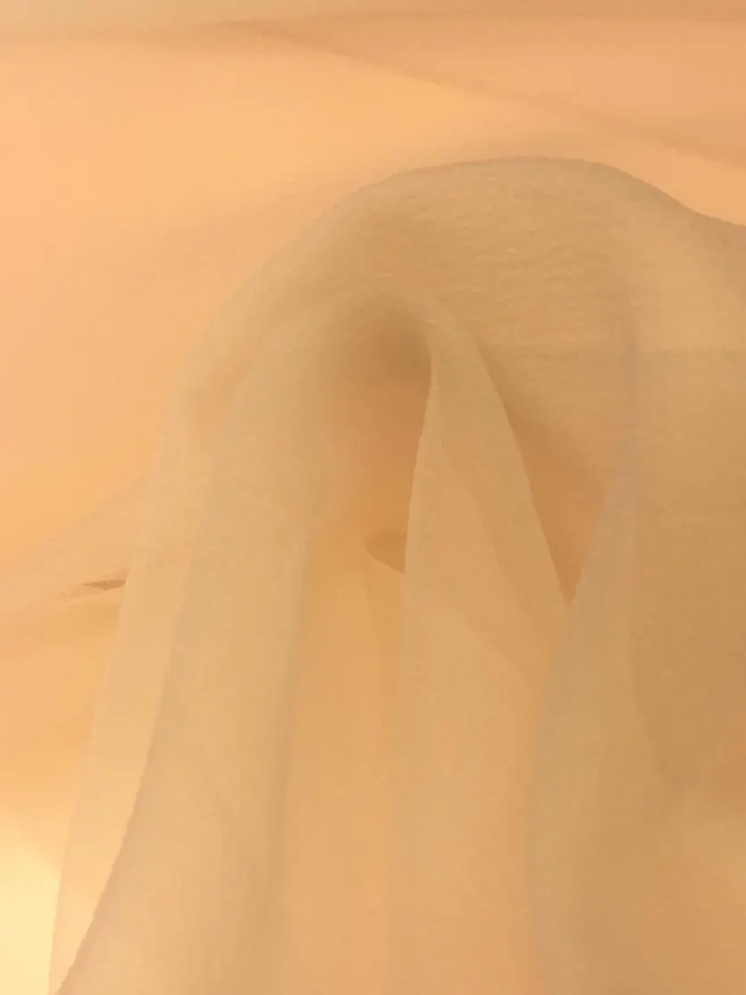 dalya-organze-somon.jpeg dalya organze somon