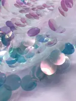 Şeffaf Para Payet Hologram