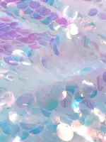 Şeffaf Para Payet Hologram
